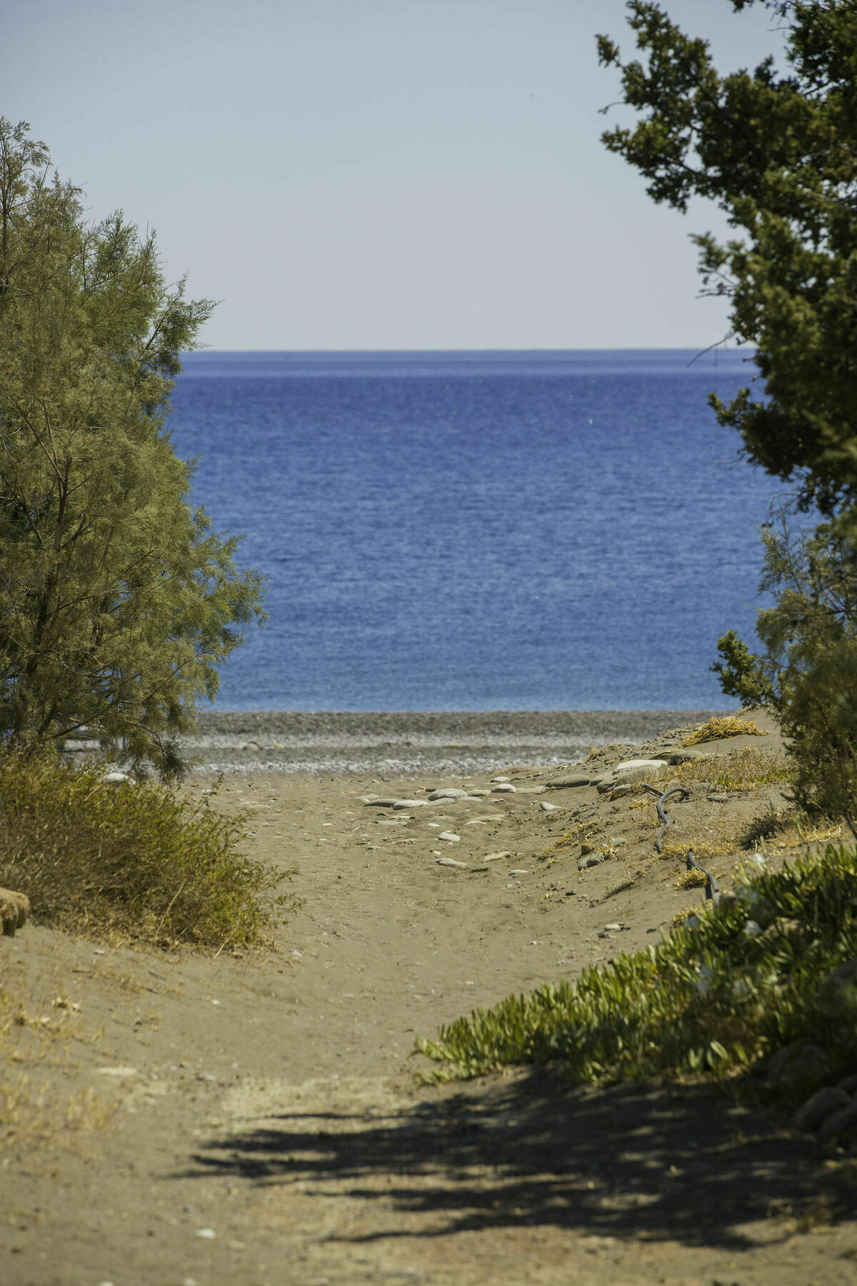 Antonoglou Beach Villas - Waterfront Luxury Retreat Lachaniá Buitenkant foto